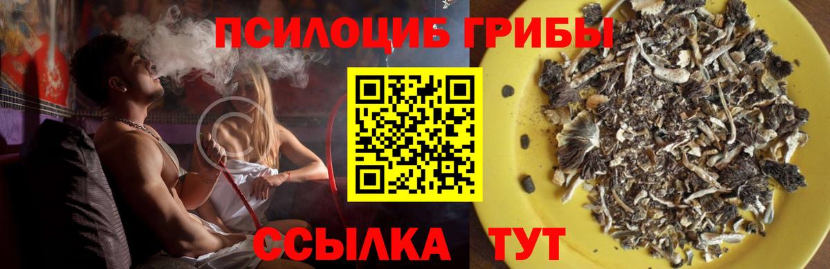 Конаково  Галлюциногенные грибы Psilocybe  Вход с VPN 